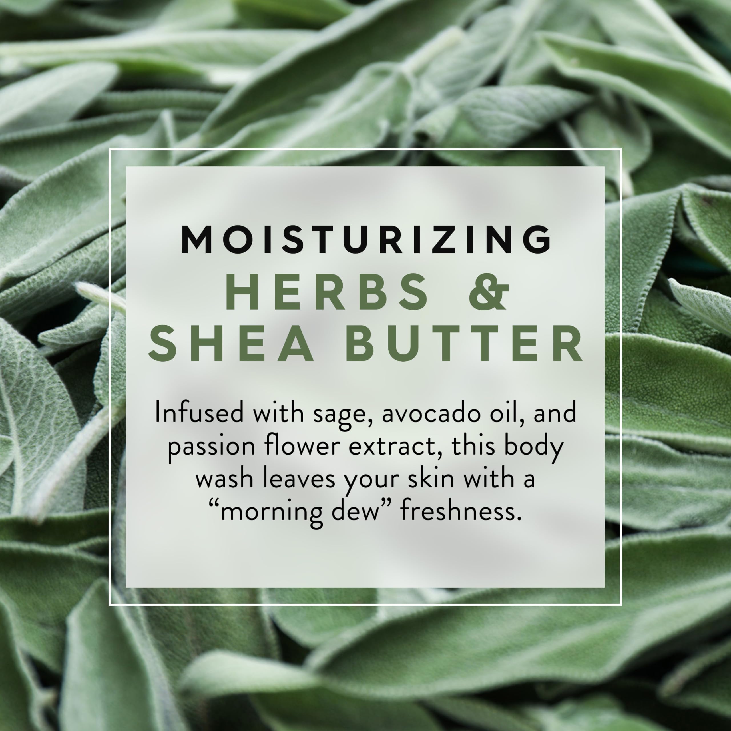 Jason 30 oz Moisturizing Herbs Pure Natural Body Wash